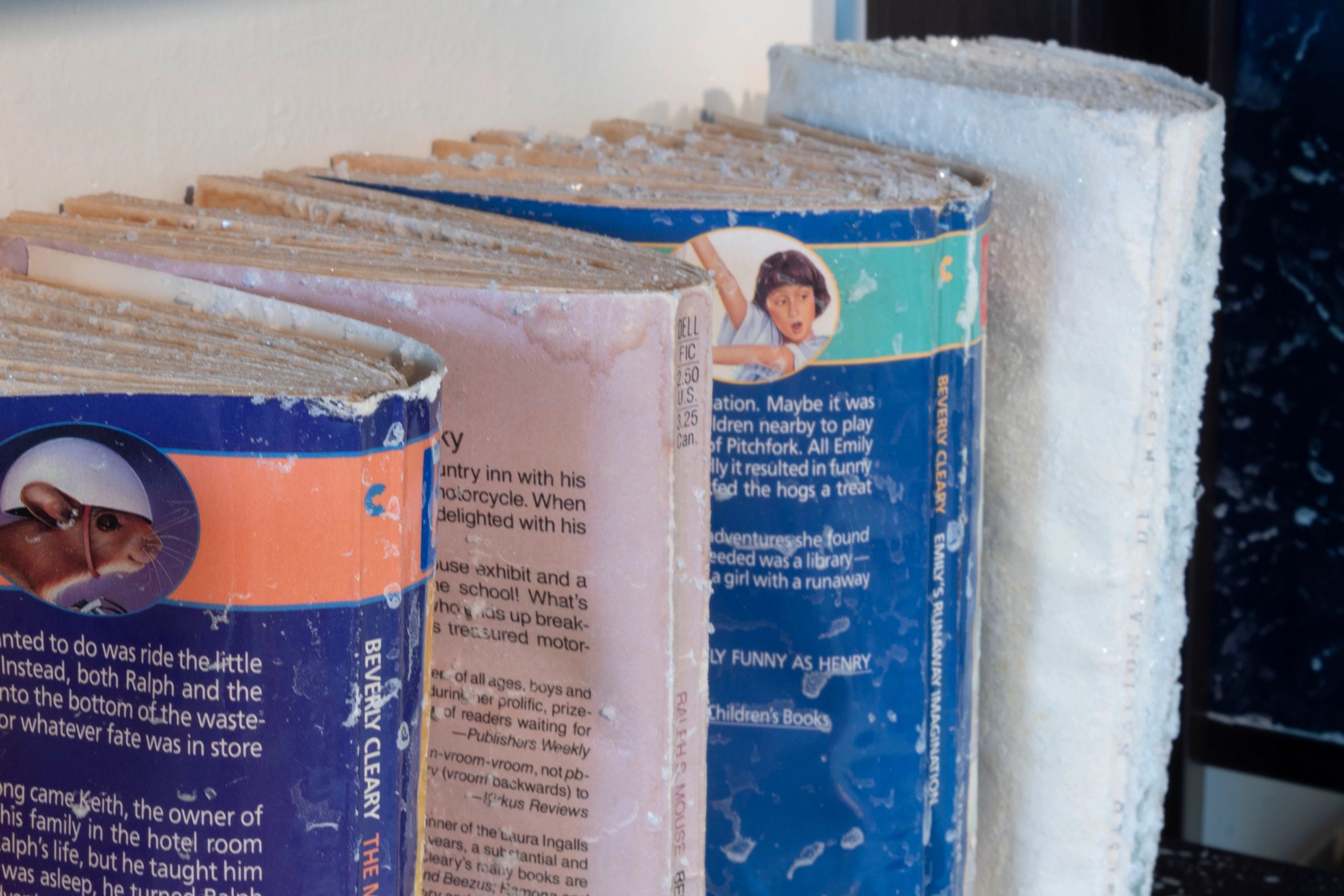 Closeup of four books with salt crystals on them