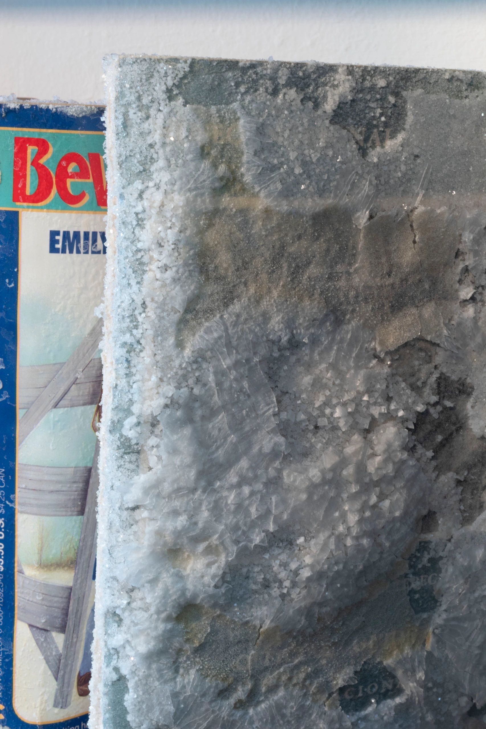 Closeup of book covered in salt