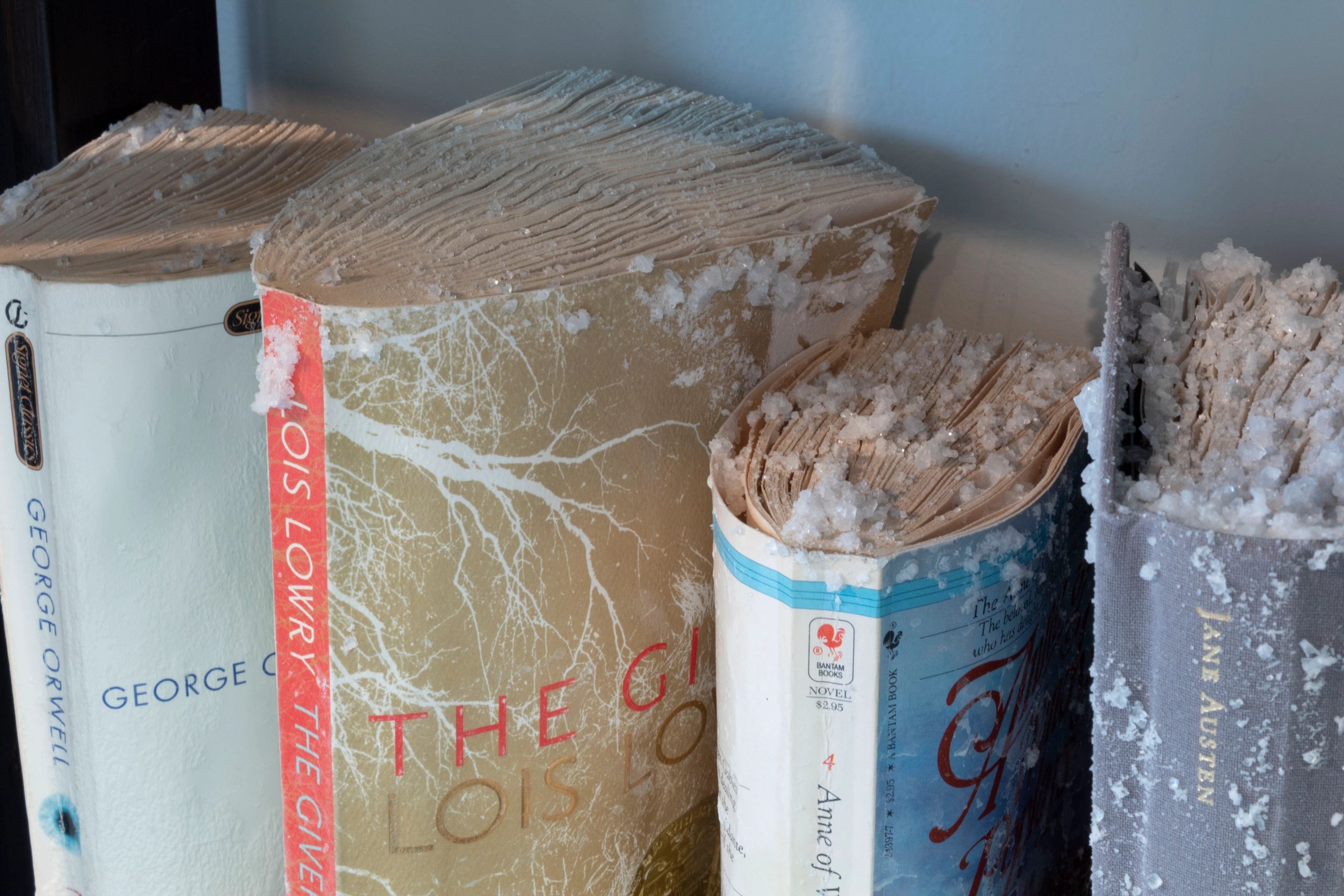 Closeup of four books with salt crystals on them