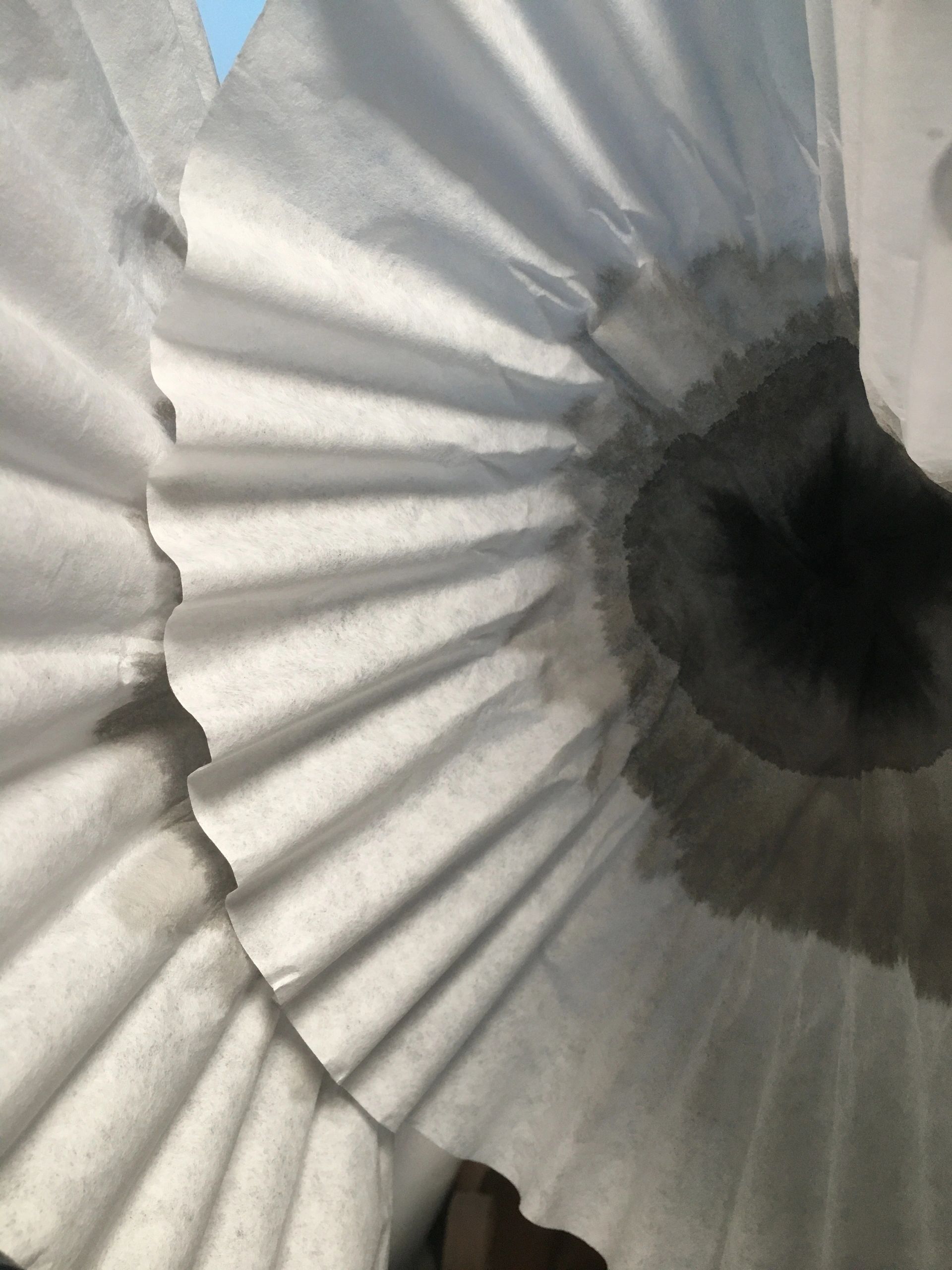 Photograph of coffee filters dip dyed in india ink