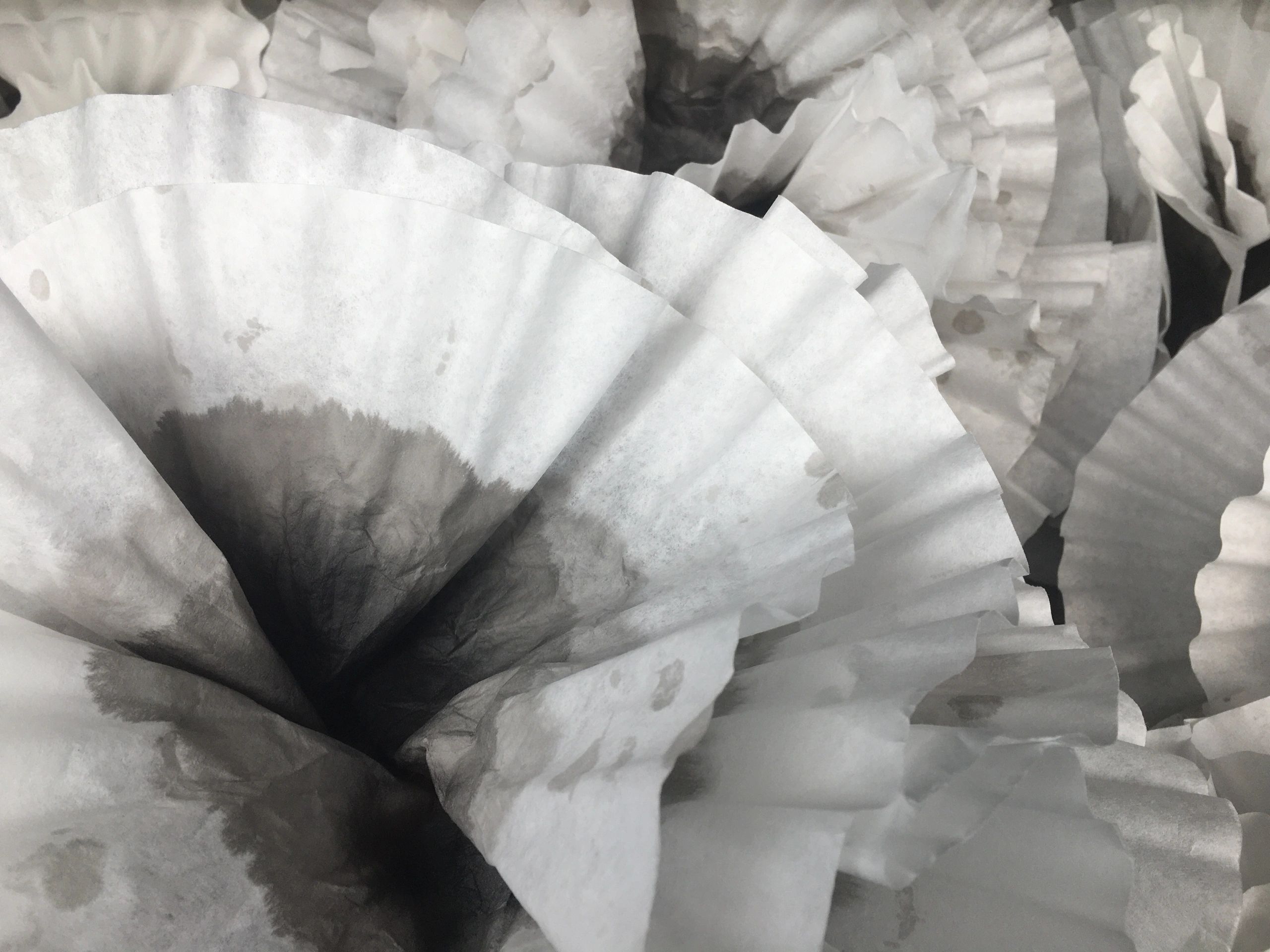 Photograph of coffee filters dip dyed in india ink