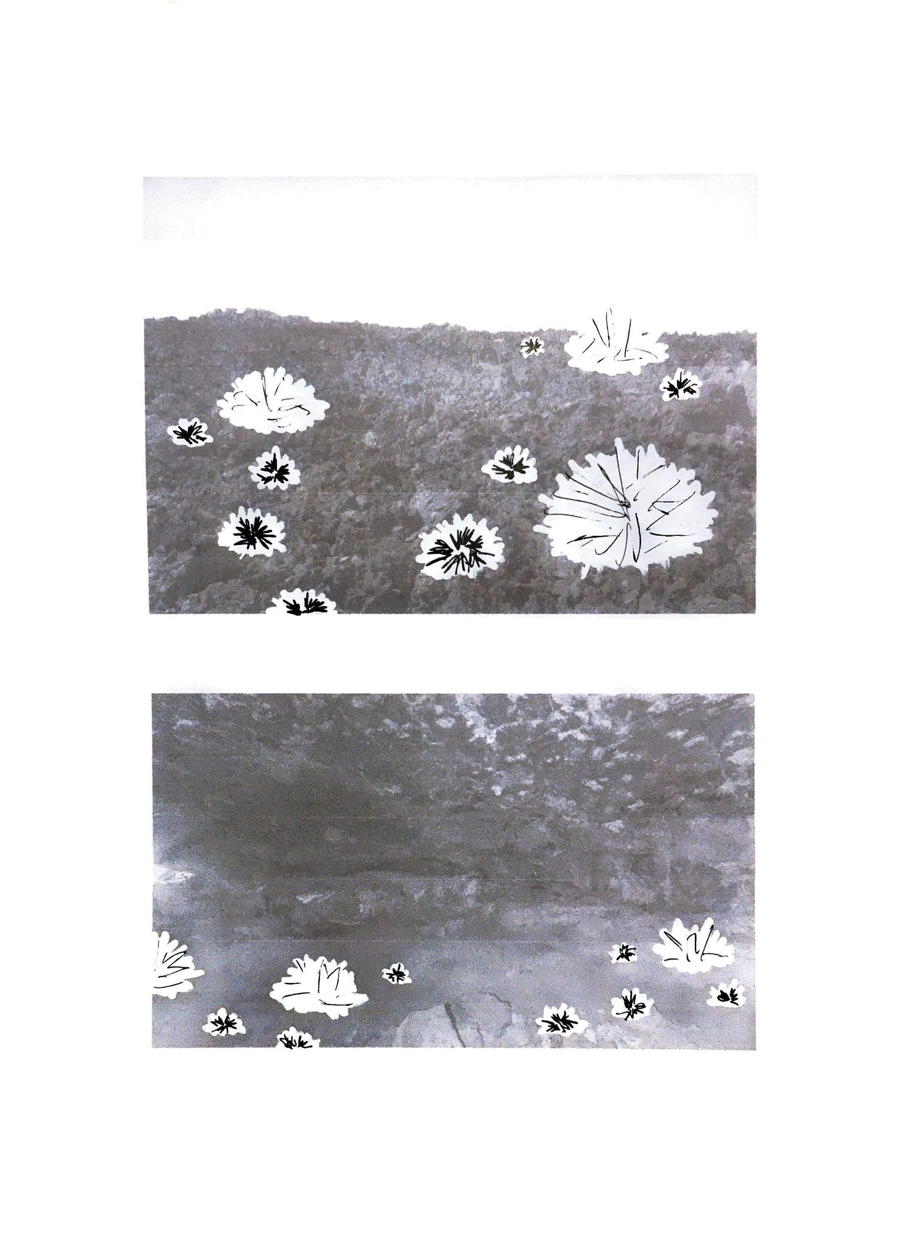 Drawings of flower forms on top of photograph of rural landscapes