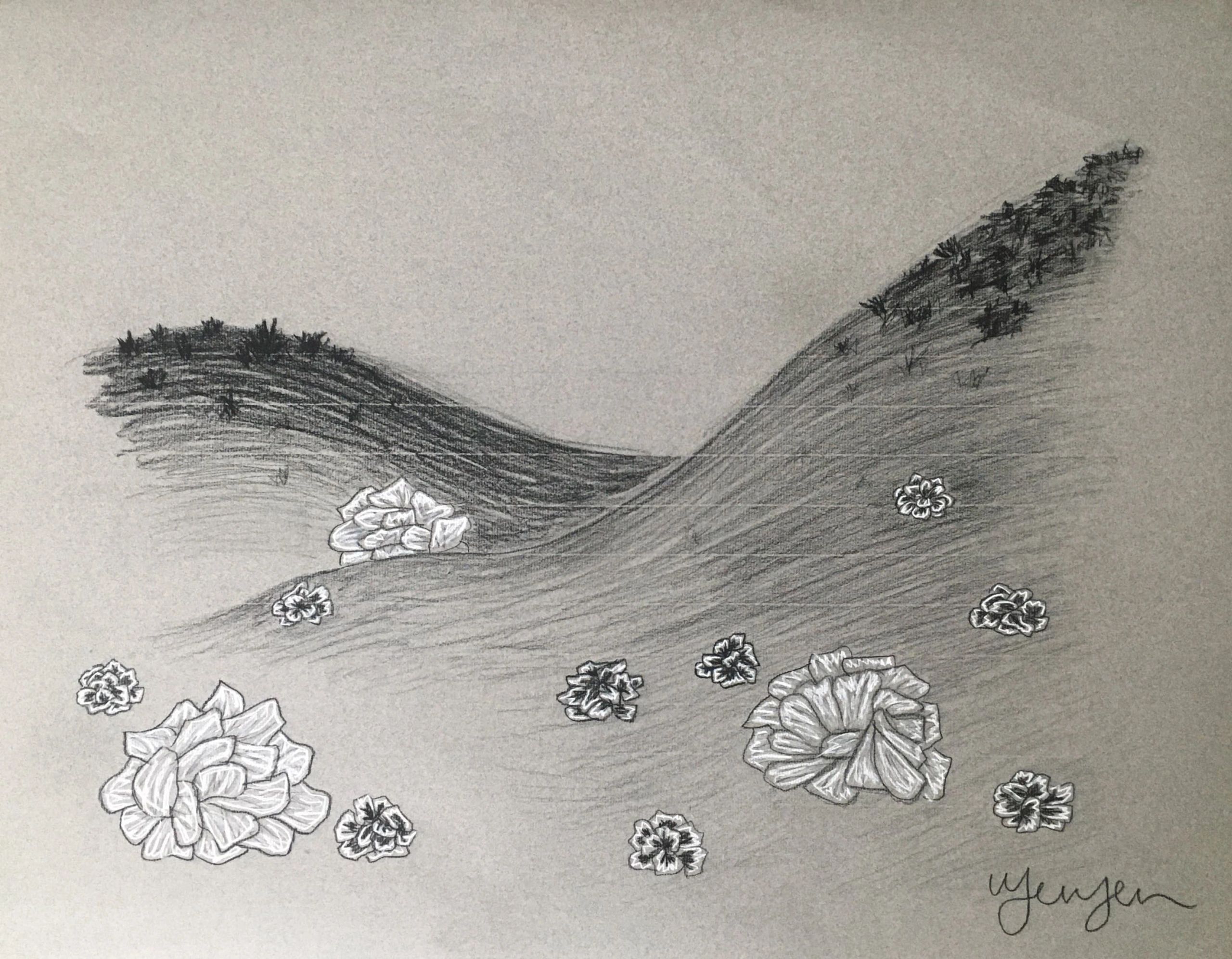 Drawing on grey-toned paper of hills with flower-like objects on them