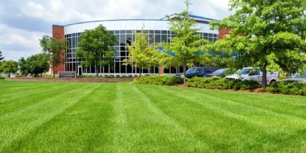 Modern office building with large glass windows and a manicured green lawn.