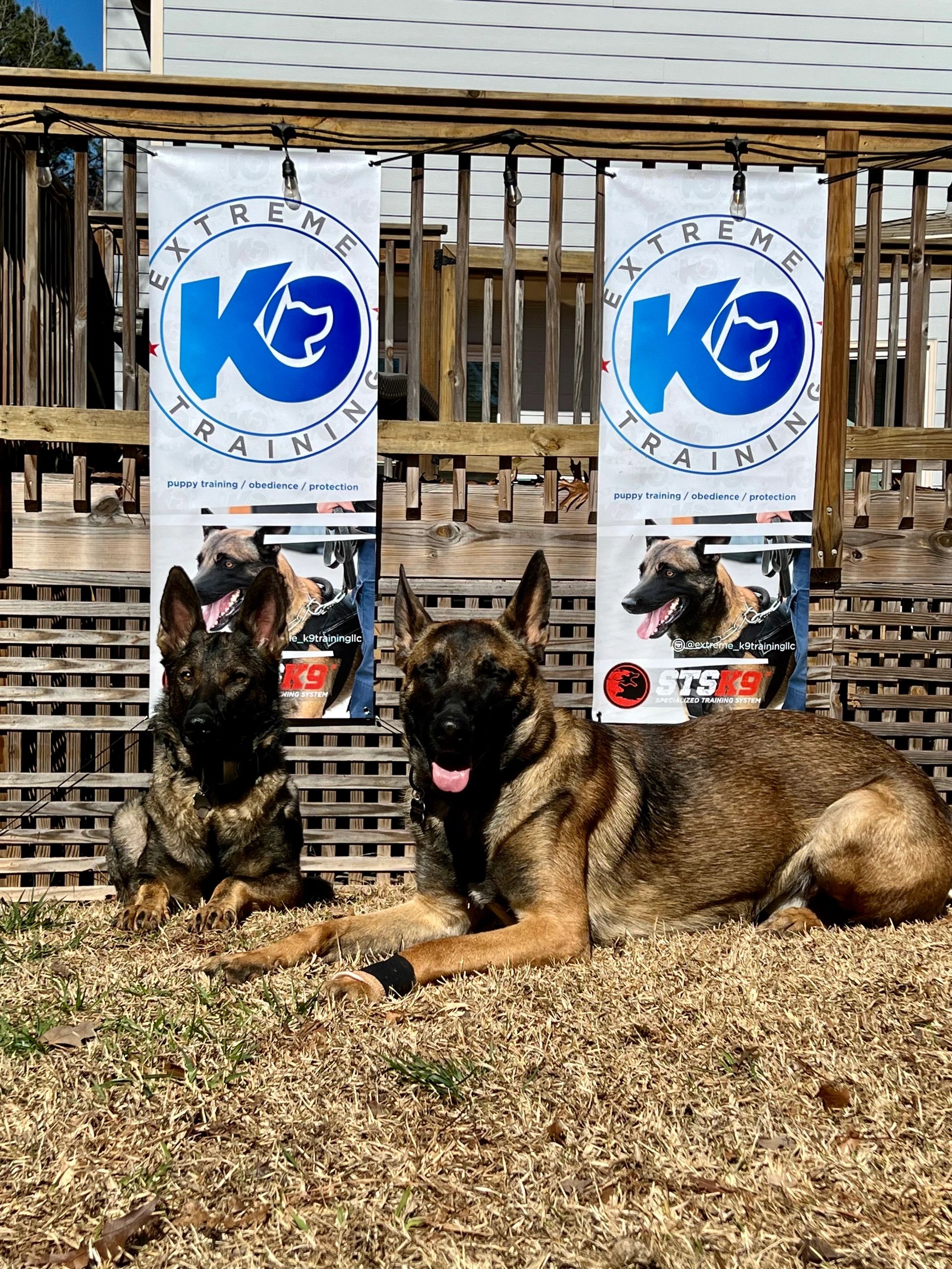 Extreme sales k9 training