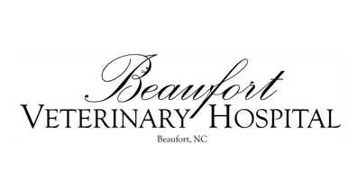 Beaufort Veterinary Hospital