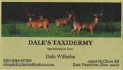 Dales Taxidermy