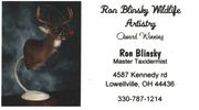 Ron Blinsky Wildlife Artist