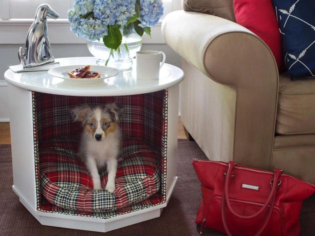 12 Unique Diy Dog Beds For Any Decor