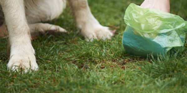 pooper scooper dog poop dog poop removal pet waste removal Pet waste station dog poop bags 