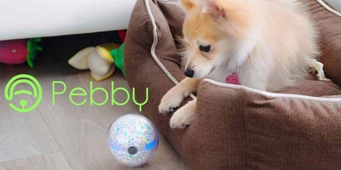 smart ball for pets