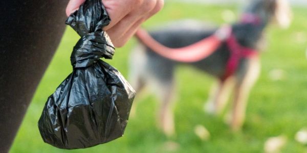 pooper scooper dog poop dog poop removal pet waste removal Pet waste station dog poop bags 