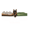 Canmore K9 Club