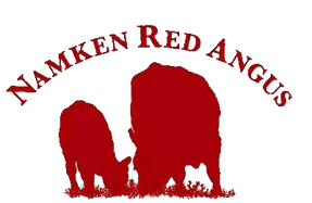 Namken Red Angus