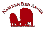 Namken Red Angus