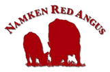 Namken Red Angus