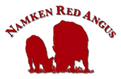 Namken Red Angus