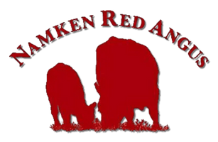 Namken Red Angus