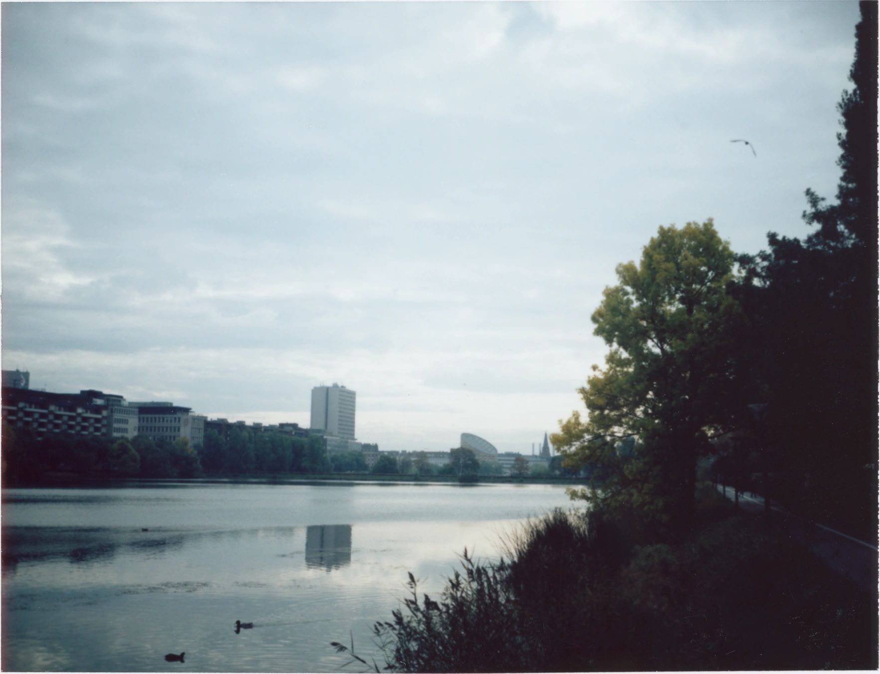 Calm lake with city buildings and trees under a cloudy sky.