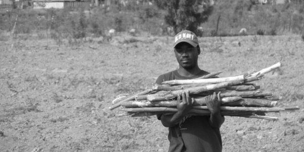 Land preparation for planting in hot arid conditions. 