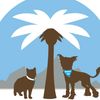 Humane Society of the Desert