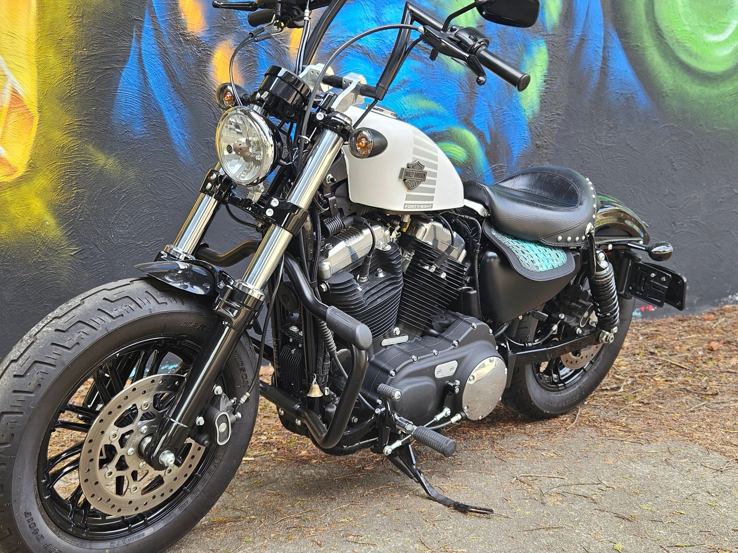 2017 Harley-Davidson Sportster 48 for Rent.