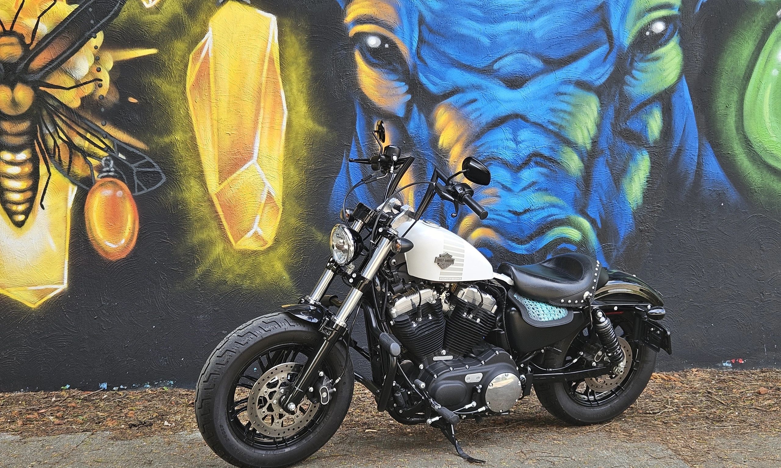 2017 Harley-Davidson Sportster 48 for Rent.