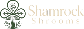  
 
shamrockshrooms.com