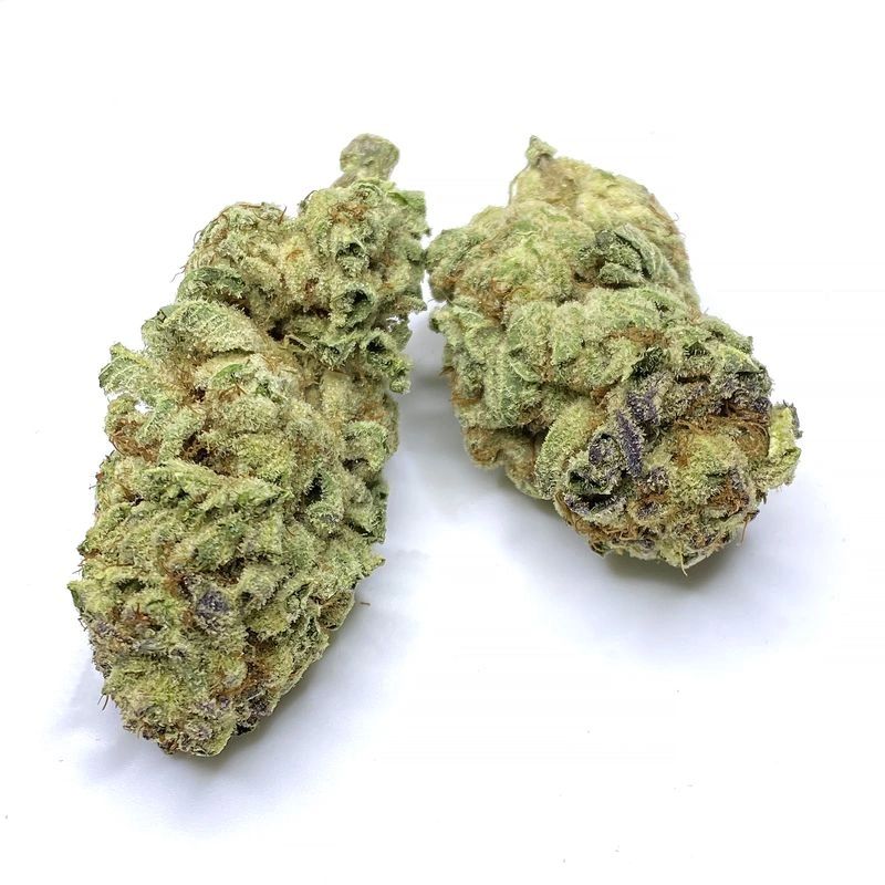 NEW !!Purple Punch Exotic Cannabis Strain