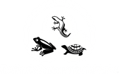 The Harris Conservation Initiative