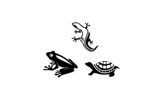 The Harris Conservation Initiative