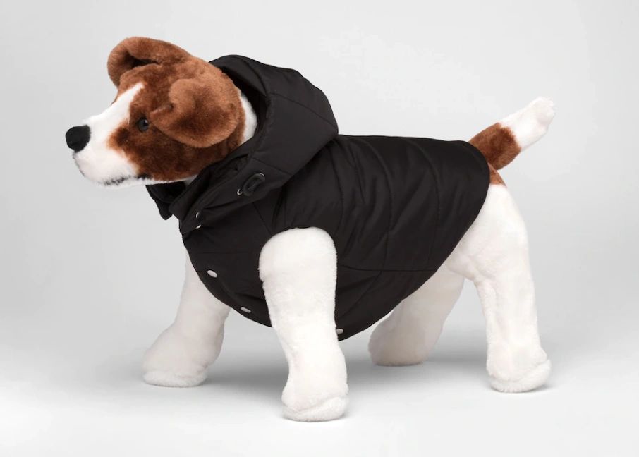 Luxury Dog Sweaters and Jackets