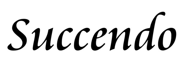 Succendo Pty Ltd
ABN 123 123 123