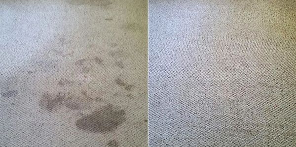 Carpet cleaning before and after comparison showing stain removal.