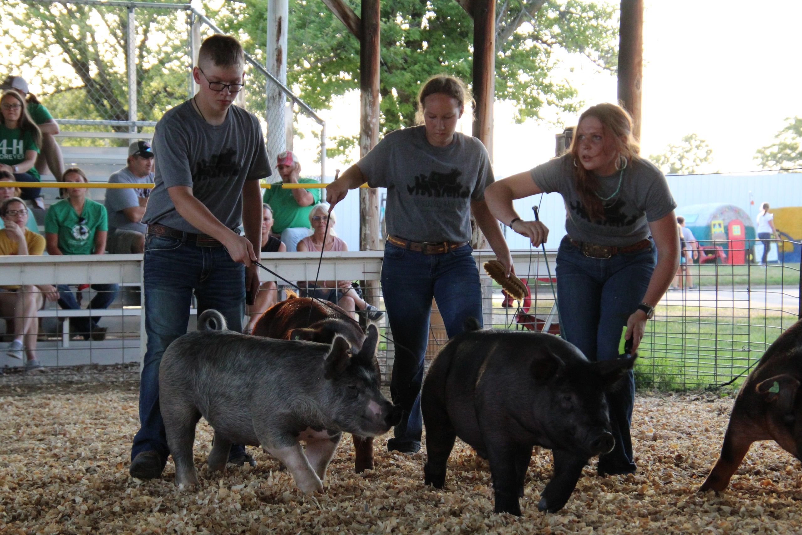 Clay County Fair Food A Culinary Adventure Under the Big Top!