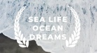 Sea Life Ocean Dreams
