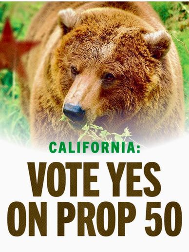 Photo of a bear that says  California: Vote yes on prop 50.