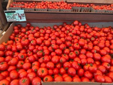 Snap shot of dry farmed tomatoes. Please try them. They are yummy!! Only in season for a little whil