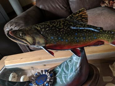 brook trout