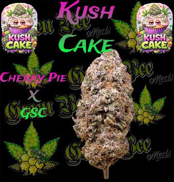 Close-up of Kush Cake cannabis bud with colorful branding and strain names.