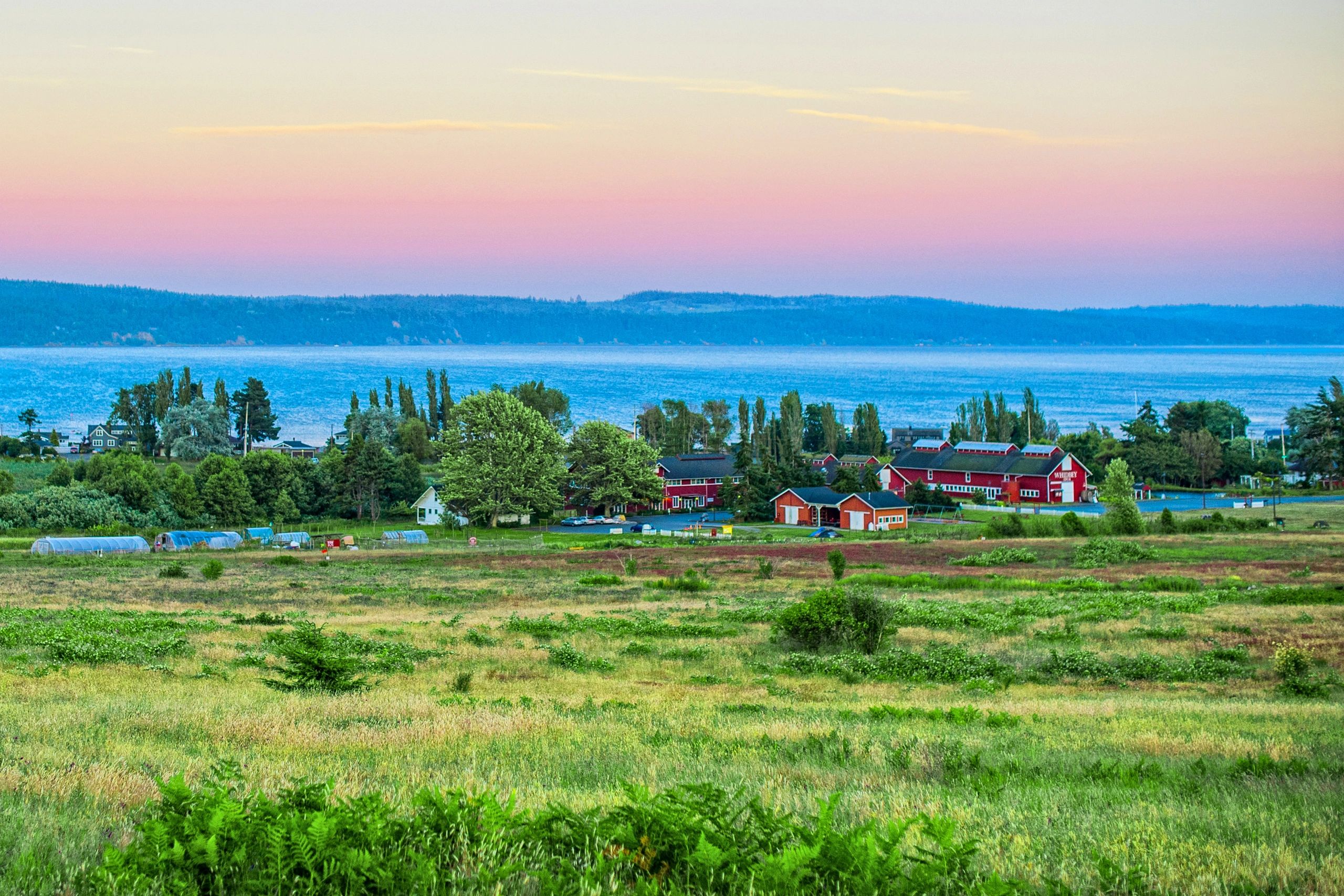 Whidbey Island Markets - Home