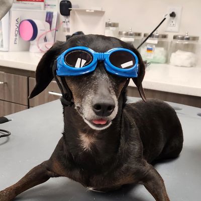 laser therapy