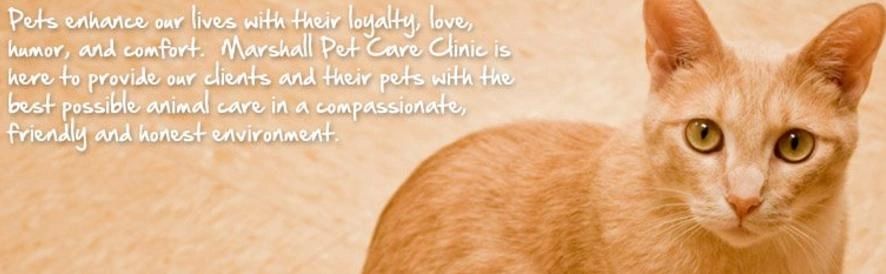 cat care clinic madison