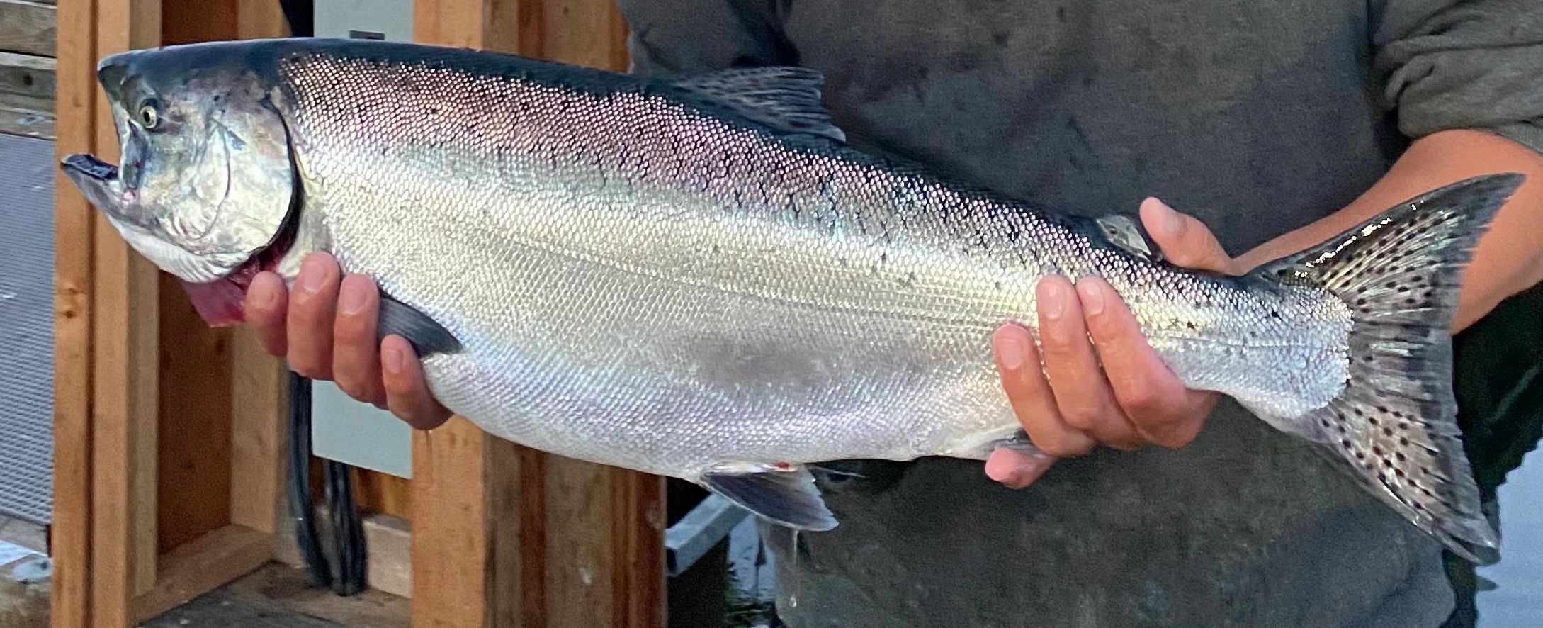 Cha'ak Charters - Fishing Charters, Hot Springs Tours