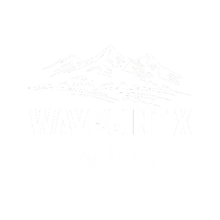 Waypoint X Garage 