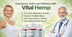 Vital Hemp Gummies Puerto Rico