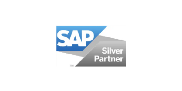 SAP Implementation Partner
