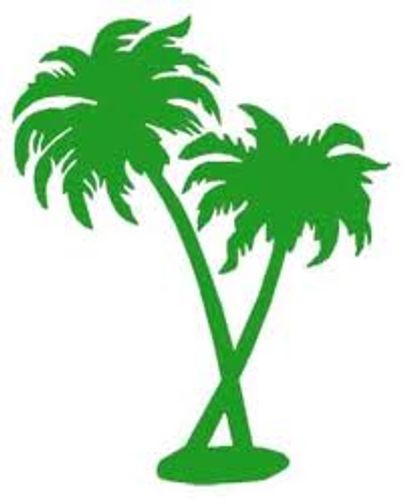 island palms