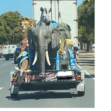 Trailer carrying large realistic animal sculptures down a road.