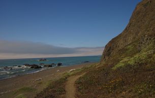 Lost Coast Wilderness Area. 